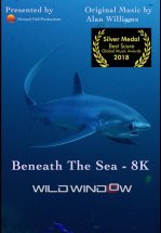 Wild Window: Beneath the Sea
