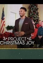 Проект «Рождественское чудо»