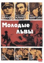 Молодые львы