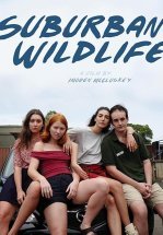 Дикая жизнь в пригороде