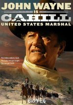 Жестяная звезда