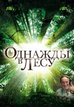 Однажды в лесу