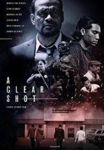 Точный выстрел