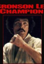 Za karate 3: Denkô sekka