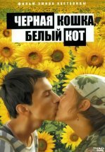 Черная кошка, белый кот