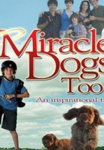 Зак и чудо-собаки