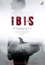 Хохлатый ибис