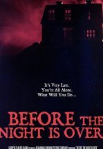 Пока не кончилась ночь